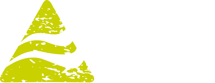 The Aurora Zone logo